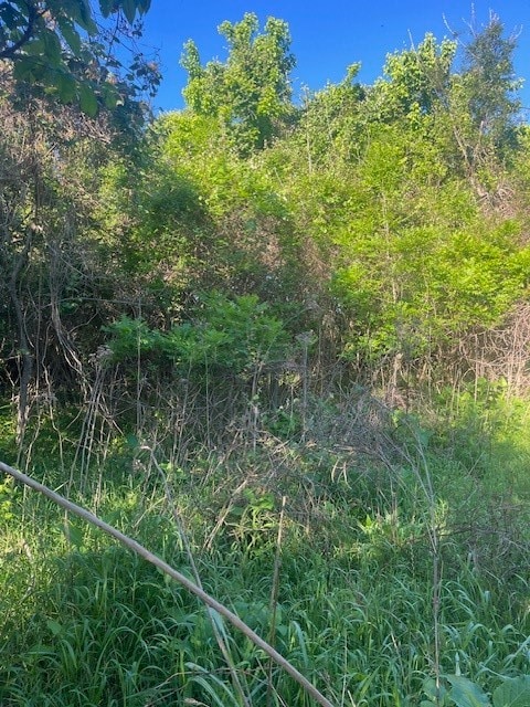 167 Kahana Ln, Bastrop TX, 78602 land for sale