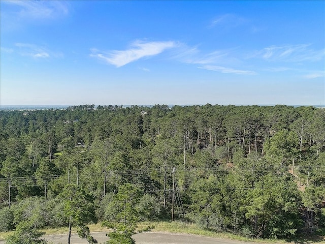 TBD Kaanapali Ln, Bastrop TX, 78602 land for sale