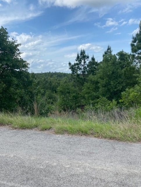 LOT4 Kainalu Ln, Bastrop TX, 78602 land for sale