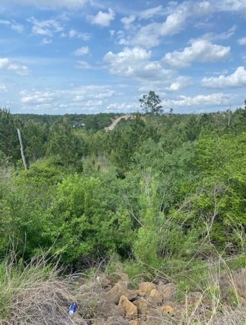 Listing photo 2 for LOT4 Kainalu Ln, Bastrop TX 78602