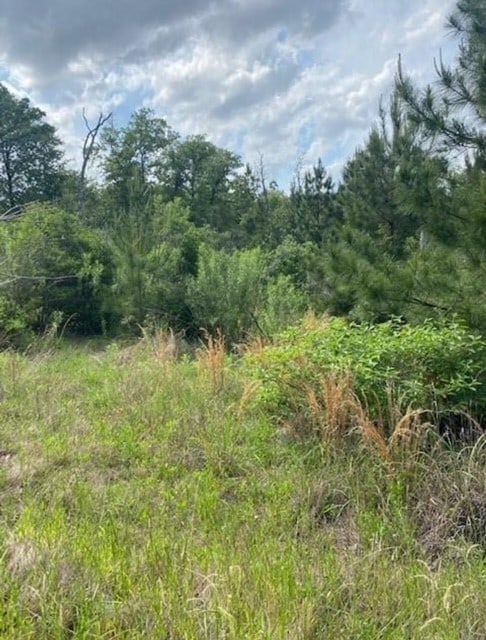 Listing photo 3 for LOT4 Kainalu Ln, Bastrop TX 78602