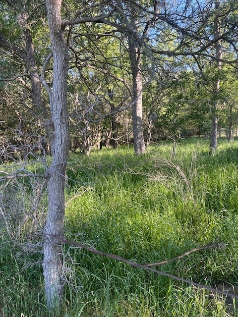 Listing photo 3 for LOT786 Kaukonahua Ln, Bastrop TX 78602