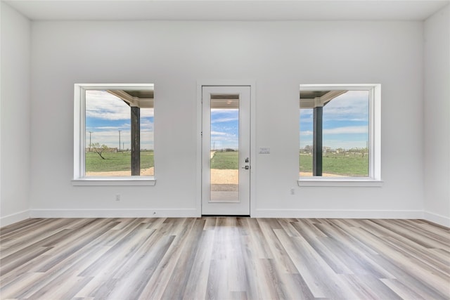 empty room featuring plenty of natural light and light hardwood / wood-style floors