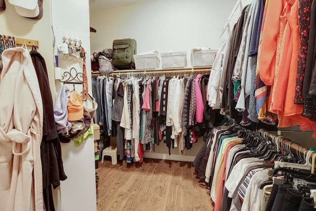 walk in closet with light hardwood / wood-style floors