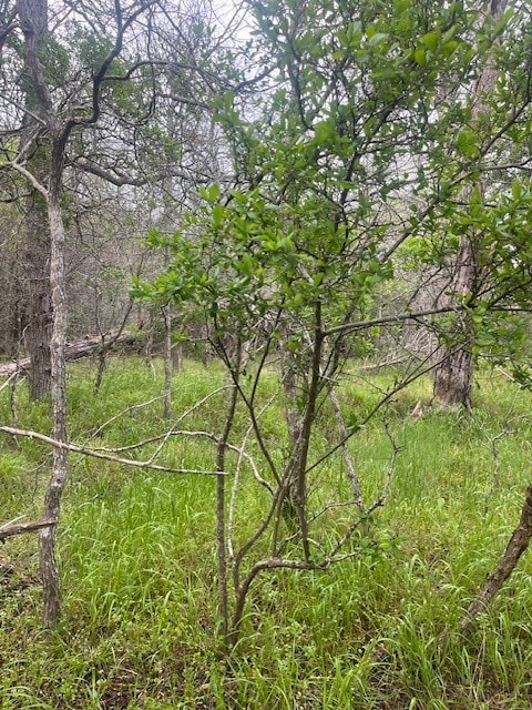 LOT628 Hilea Ct, Bastrop, TX 78602