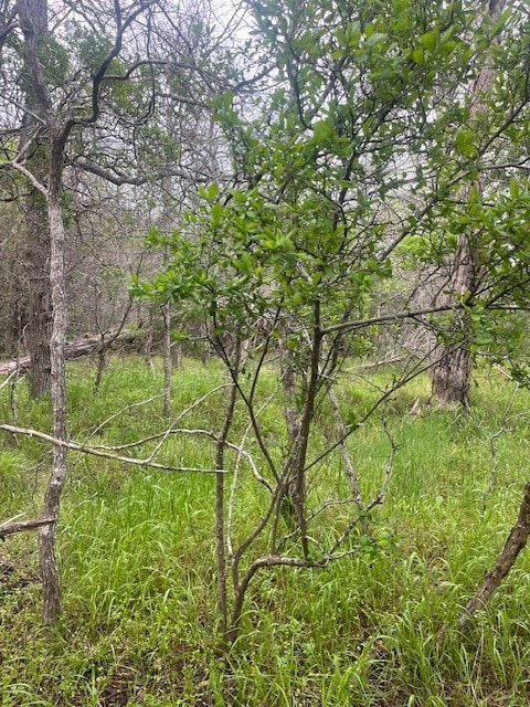 LOT628 Hilea Ct, Bastrop TX, 78602 land for sale