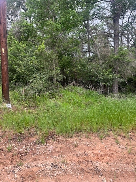 Listing photo 3 for LOT628 Hilea Ct, Bastrop TX 78602