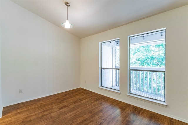 unfurnished room featuring dark hardwood / wood-style floors and a wealth of natural light