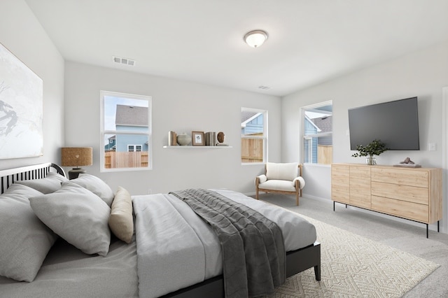 bedroom with carpet floors