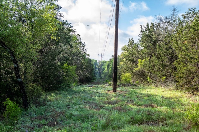 Listing photo 3 for TDB Hilliard Rd, San Marcos TX 78666