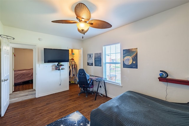 bedroom with dark hardwood / wood-style flooring, a spacious closet, a closet, and ceiling fan