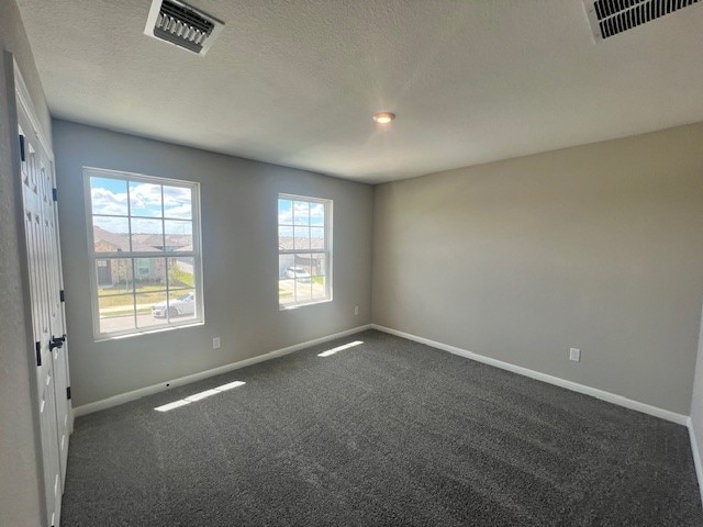 spare room with a textured ceiling, a healthy amount of sunlight, and carpet flooring