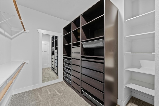 spacious closet featuring light carpet