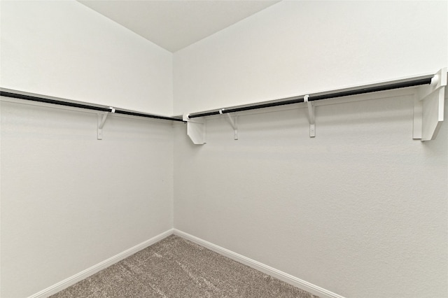 spacious closet with carpet flooring