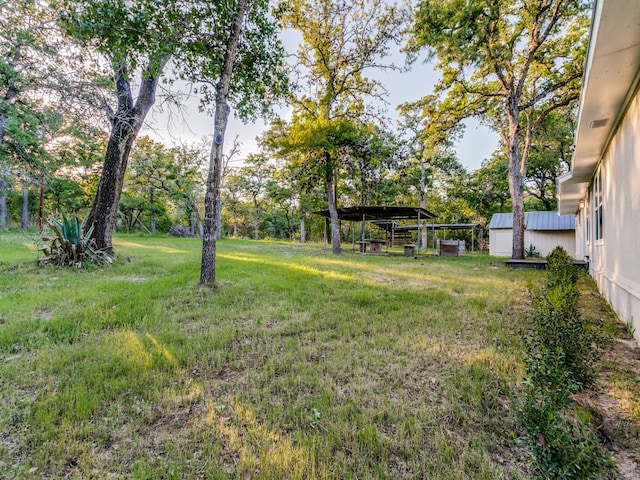 view of yard featuring a storage shed