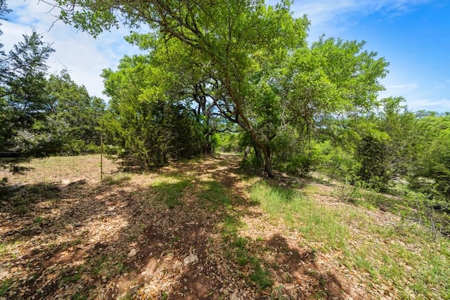 707 Flite Acres Rd, Wimberley, TX 78676 - photo 31