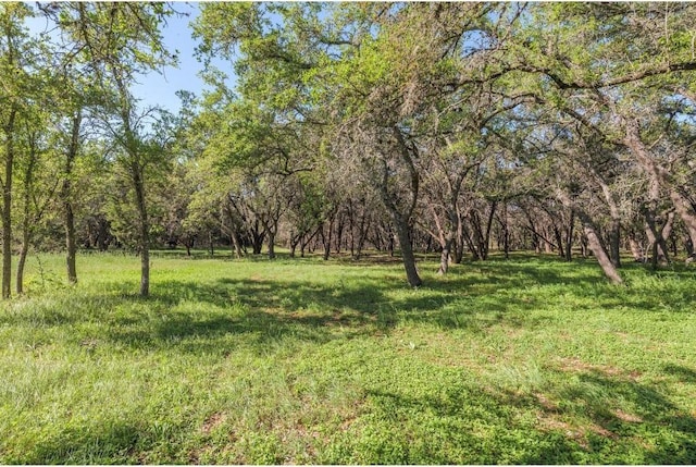 250 Caliche Rd, Wimberley, TX 78676 - photo 21