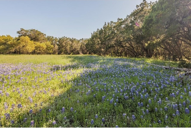 250 Caliche Rd, Wimberley, TX 78676 - photo 20