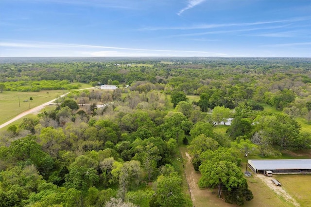 TBD Tumbleweed Trail, Dale, TX 78616 - photo 9