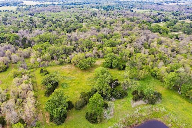 TBD Tumbleweed Trail, Dale, TX 78616 - photo 20