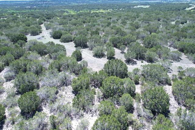 Listing photo 3 for TBD County Road 2773, Lometa TX 76853