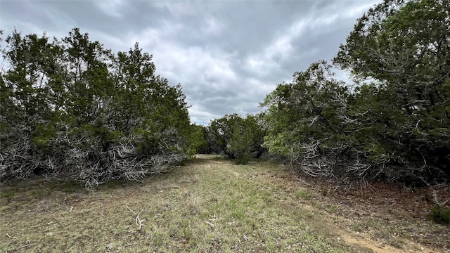 Listing photo 3 for LOT12 Grace Ln, Bertram TX 78605