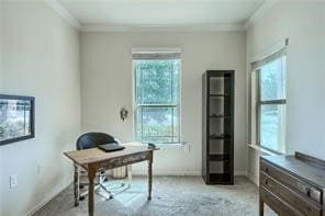 carpeted home office featuring ornamental molding and plenty of natural light