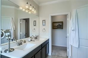 bathroom with crown molding, dual sinks, and vanity with extensive cabinet space