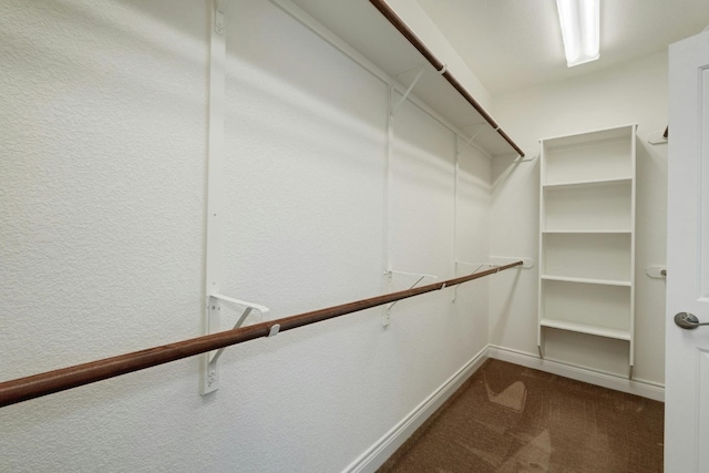 spacious closet with carpet