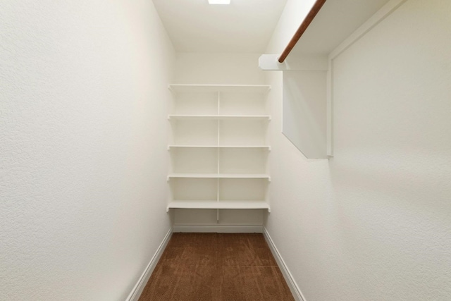 walk in closet with carpet flooring