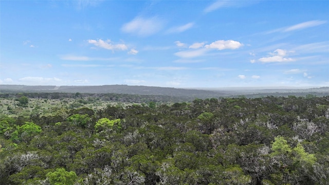 1147 Taylor Ranch Rd, Blanco TX, 78606 land for sale