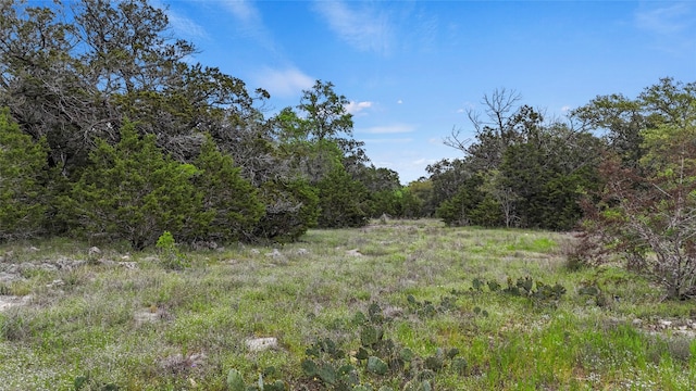 Listing photo 2 for 1147 Taylor Ranch Rd, Blanco TX 78606