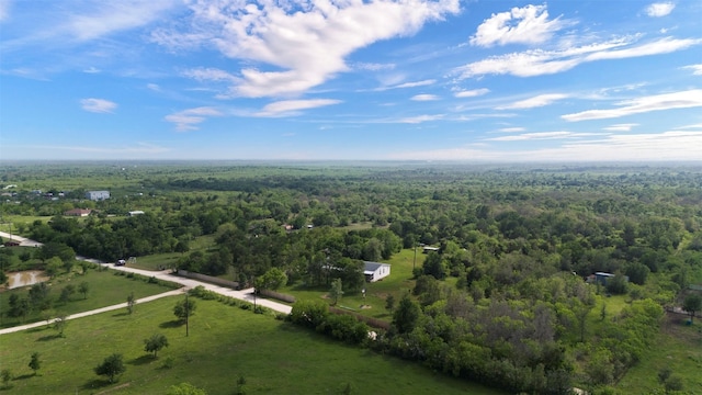 view of bird's eye view