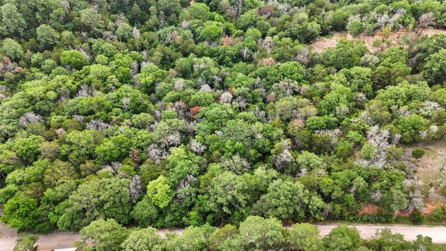 135 Helemano Dr, Bastrop, TX 78602 - photo 10