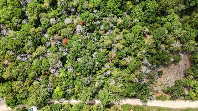 135 Helemano Dr, Bastrop, TX 78602 - photo 3