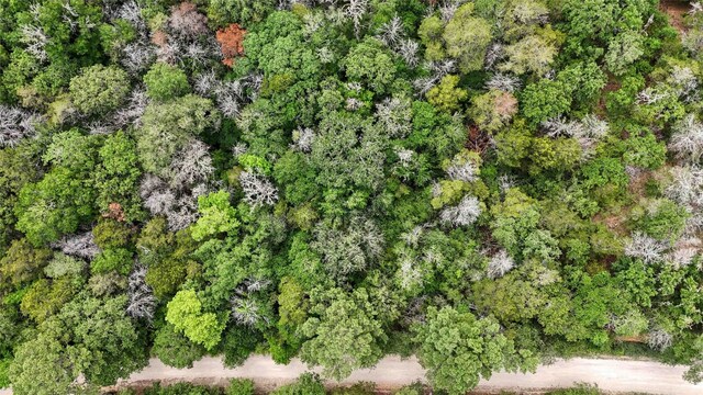 135 Helemano Dr, Bastrop, TX 78602 - photo 6