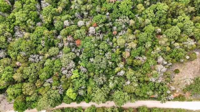135 Helemano Dr, Bastrop, TX 78602 - photo 8
