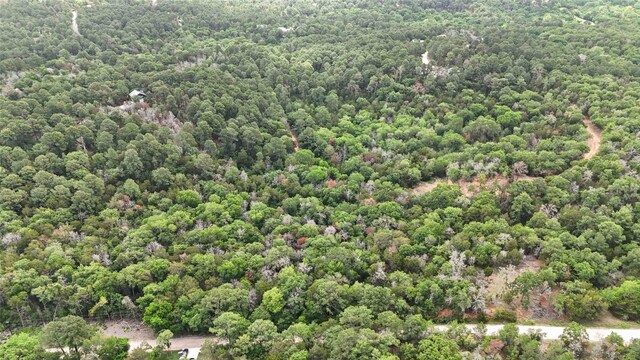 135 Helemano Dr, Bastrop, TX 78602 - photo 12