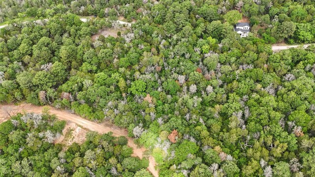 135 Helemano Dr, Bastrop, TX 78602 - photo 15