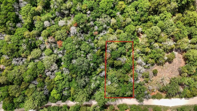 135 Helemano Dr, Bastrop, TX 78602 - photo 1
