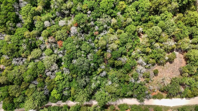135 Helemano Dr, Bastrop, TX 78602 - photo 2
