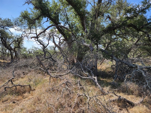 Listing photo 3 for 9 Slate Rock Rd, Fredericksburg TX 78624