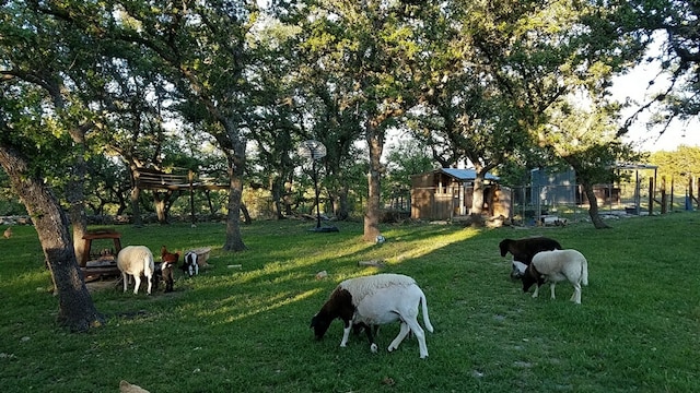 311 Harmon Hills Cv, Dripping Springs, TX 78620 - view of home's community with a lawn