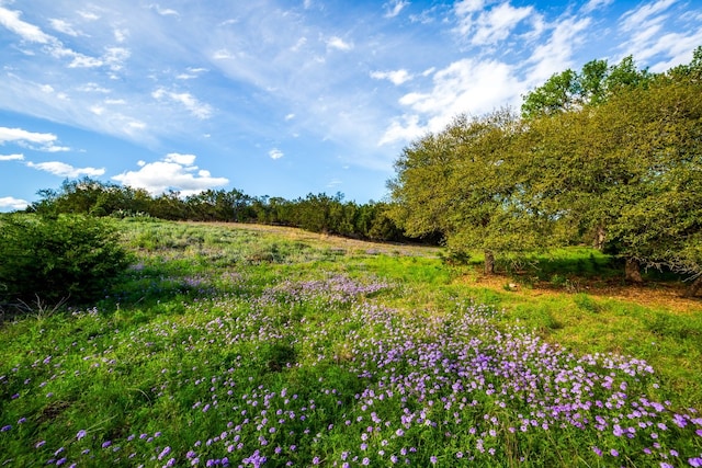 view of nature