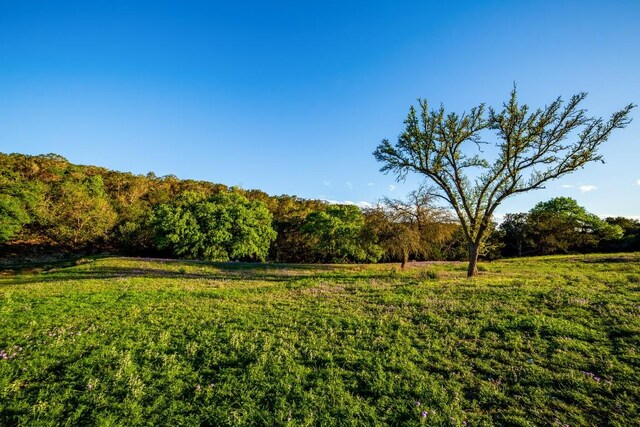 view of yard featuring a rural view