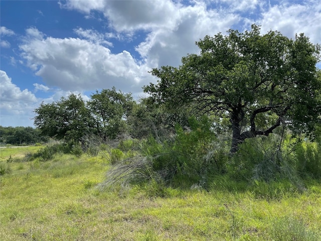 Listing photo 3 for 0 Bosque Trl, Marble Falls TX 78654