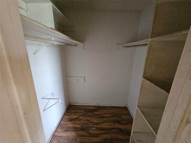 walk in closet featuring dark hardwood / wood-style floors