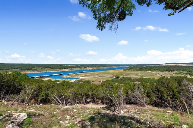 6203 Lakeshore Dr, Lago Vista TX, 78645 land for sale