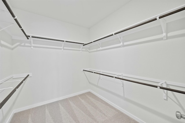 walk in closet featuring carpet flooring