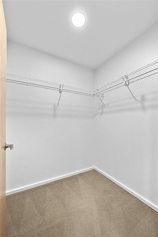 spacious closet featuring carpet floors